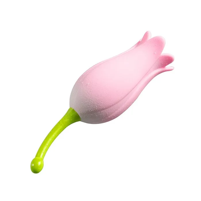 Female Sex Toys Clitoral Vibrators Ultrasonic Tulip Fast Orgasm Clitoris Vibrator Sex Toys For Women House of Dasein Female Sex Toys Clitoral Vibrators Ultrasonic Tulip Fast Orgasm Clitoris Vibrator Sex Toys For Women House of Dasein