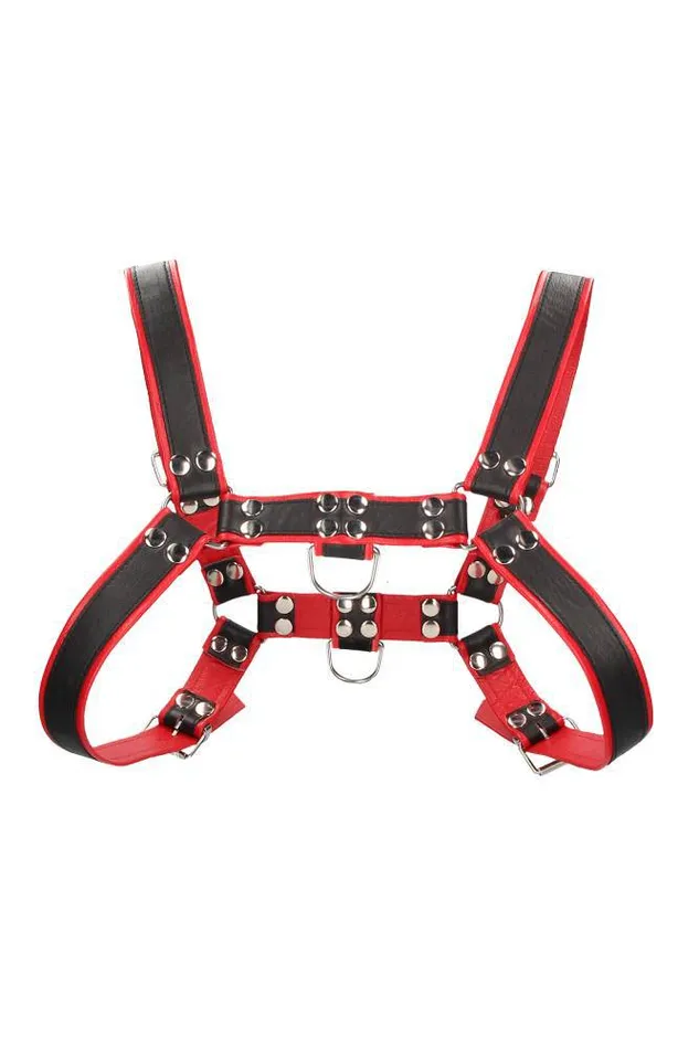 Shots Toys Ouch by Shots Toys Bulldog Chest Harness Red SM Vibrators
