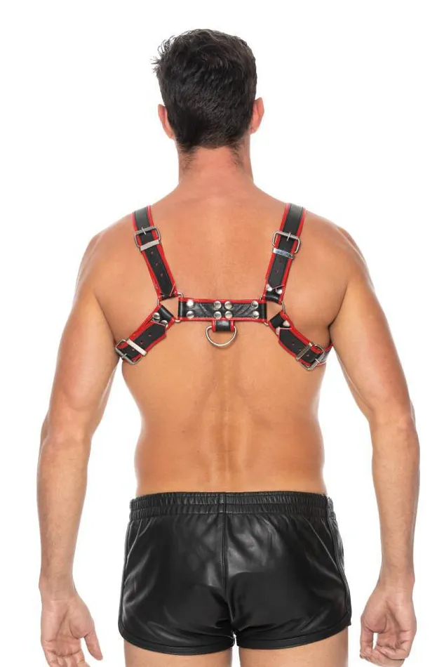 Shots Toys Ouch by Shots Toys Bulldog Chest Harness Red SM Vibrators