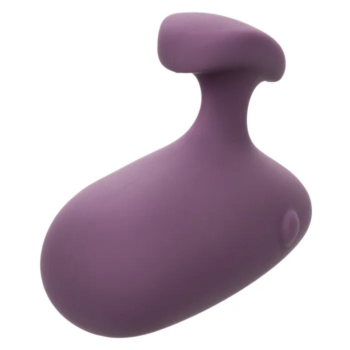 CalExotics Vibrators Mod Touch Purple