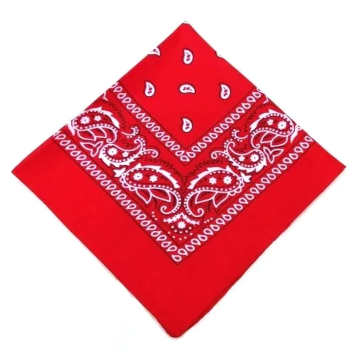 Lovegasm Printed Cotton Bandana Cloth Gag Vibrators