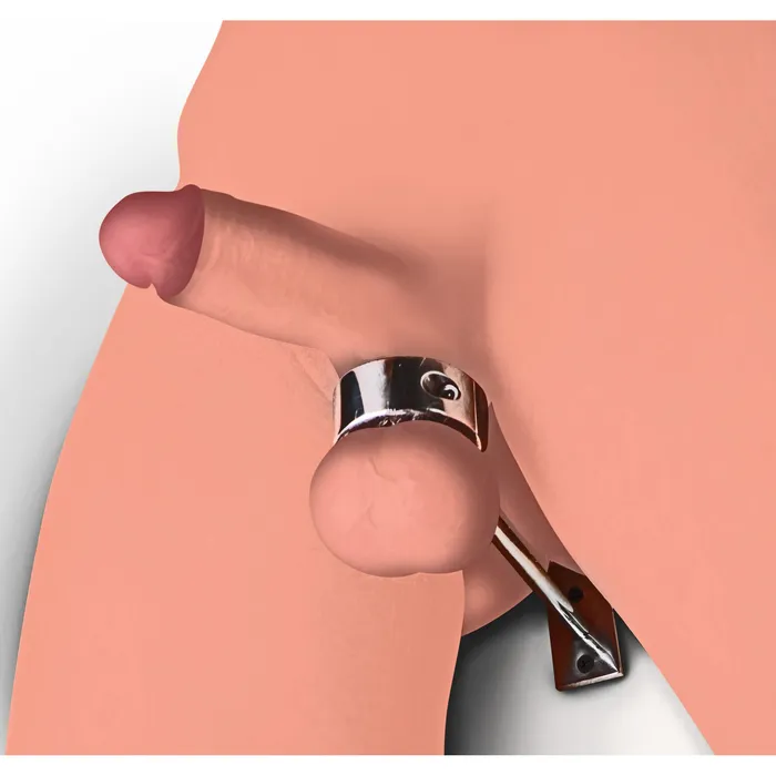 Locking Mounted CBT Scrotum Cuff with Bar Master Series Male Sex Toys