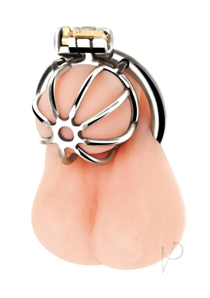 Blue Line CandB Gear Male Sex Toys Blue Line Little Cock Chastity Cage Stainless Blue Line CandB Gear Male Sex Toys Blue Line Little Cock Chastity Cage Stainless