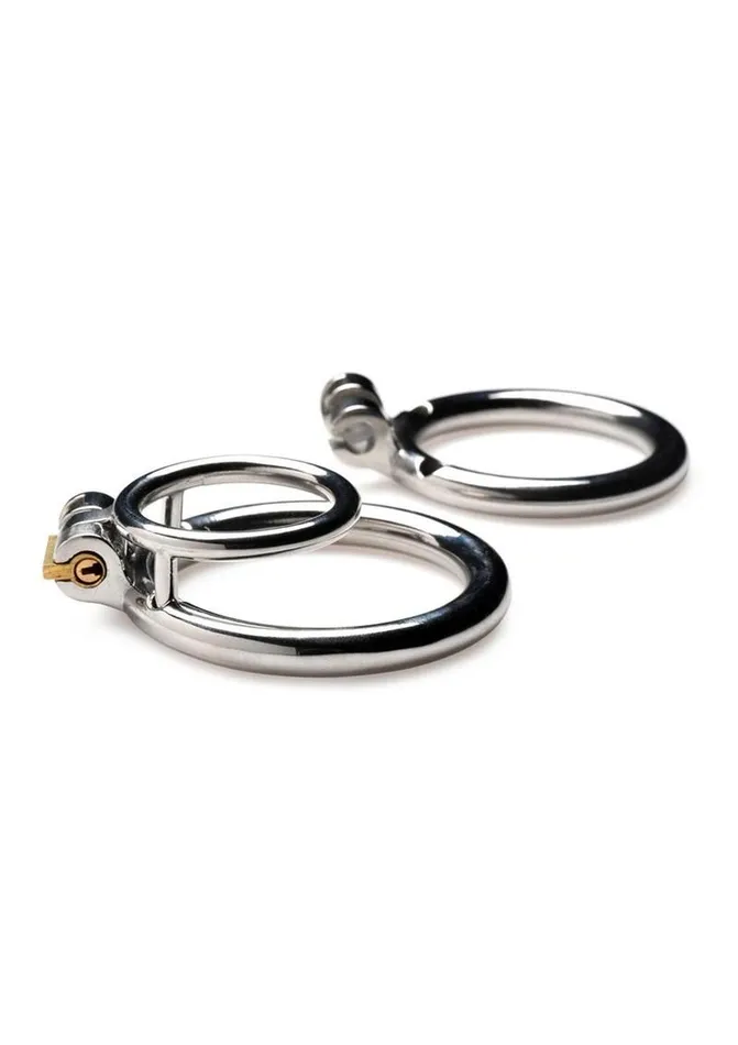 Male Sex Toys Master Series Locked Cock Stainless Steel Locking Cock and Ball Ring Master Series