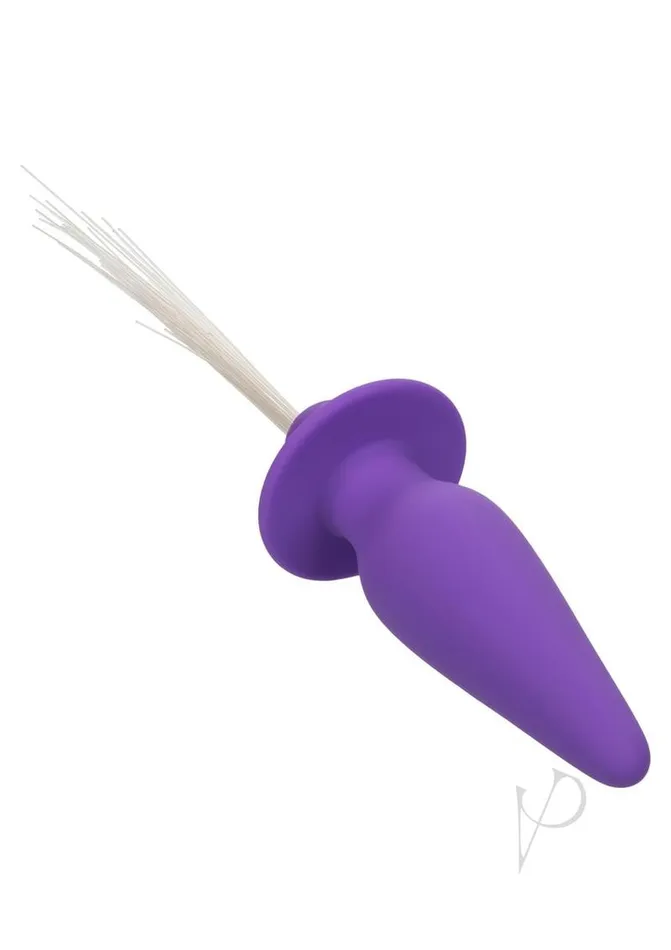 Anal Southern Lights Southern Lights Rechargeable Silicone Vibrating Light Up Anal Probe Purple