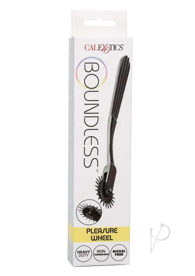 Boundless Anal Boundless Pinwheel 22 Point NickleFree Alloy Black
