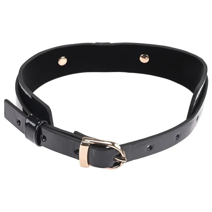 Couples Sex Mischief Orbit Day Collar Sportsheets