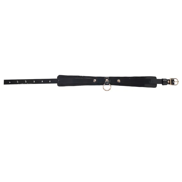Couples Sex Mischief Orbit Day Collar Sportsheets