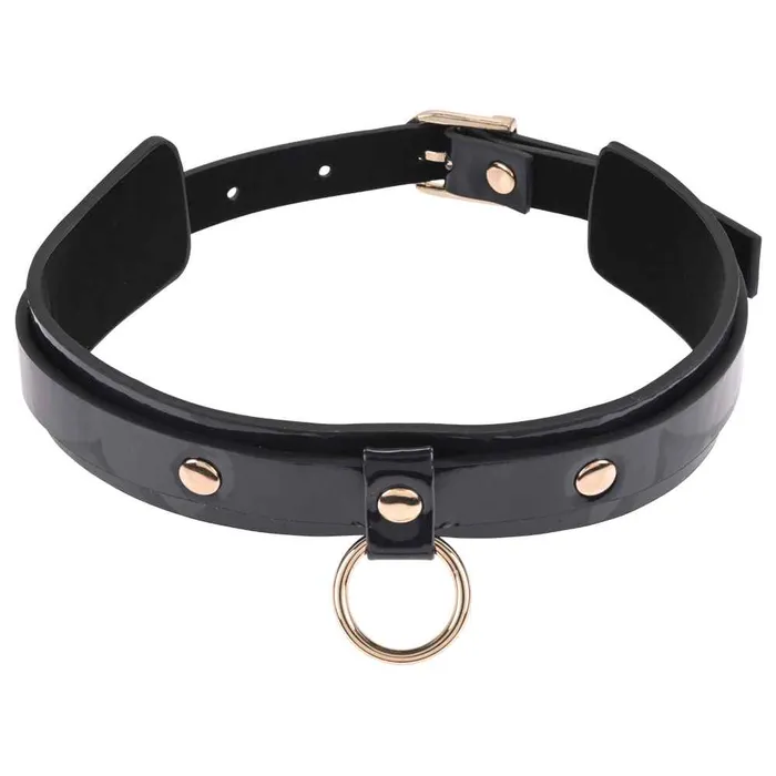 Couples Sex Mischief Orbit Day Collar Sportsheets