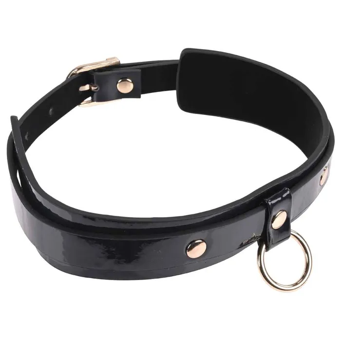 Couples Sex Mischief Orbit Day Collar Sportsheets