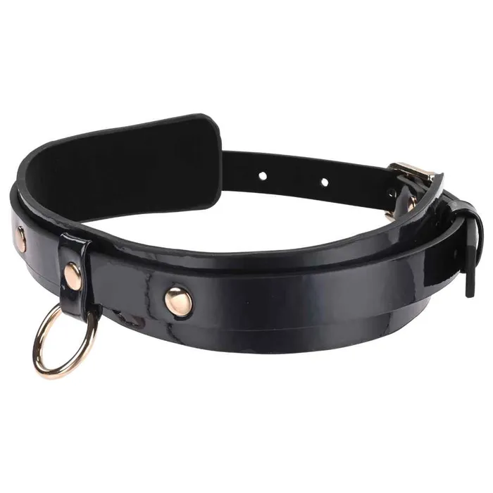 Couples Sex Mischief Orbit Day Collar Sportsheets