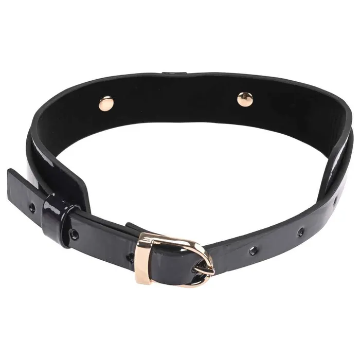 Couples Sex Mischief Orbit Day Collar Sportsheets