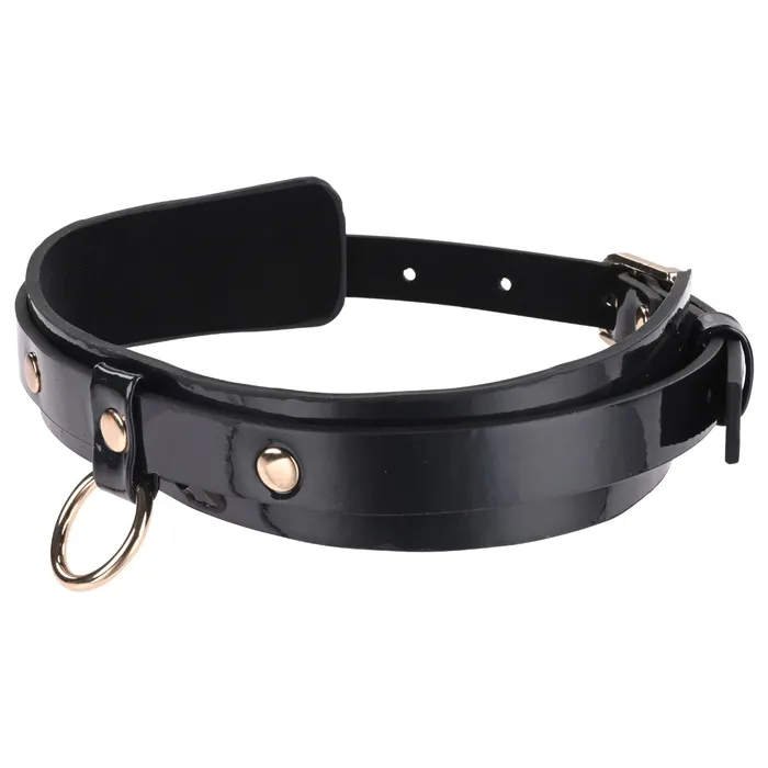 Couples Sex Mischief Orbit Day Collar Sportsheets