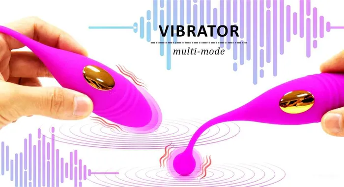 Dual Vibrating Egg Massager Wild Night Fantasies Female Sex Toys