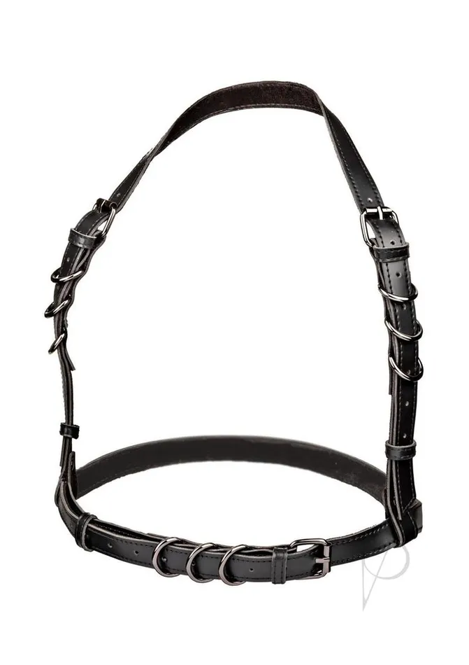 Euphoria Collection Halter Buckle Harness Black Euphoria Anal