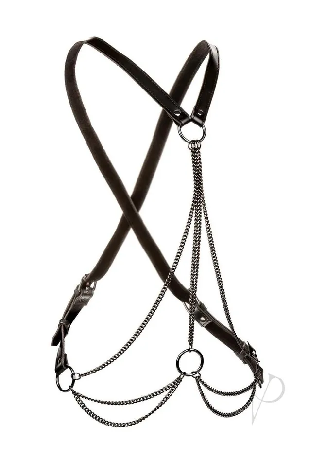 Euphoria Collection Multi Chain Harness Black Euphoria Anal