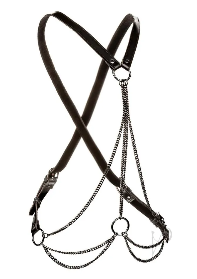 Euphoria Euphoria Collection Multi Chain Harness Plus Size Black Plus Size