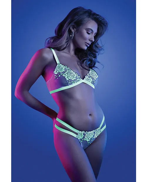 Female Sex Toys Glow By Fantasy Lingerie Glow Night Vision Glow In the Dark Bralette Cage Panty SM Female Sex Toys Glow By Fantasy Lingerie Glow Night Vision Glow In the Dark Bralette Cage Panty SM