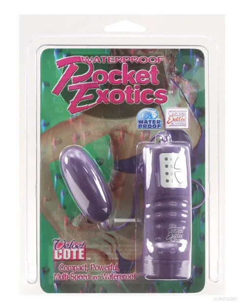 Female Sex Toys Pocket Exotics Pocket Exotics Waterproof Bullet with Wired Remote Control Purple Female Sex Toys Pocket Exotics Pocket Exotics Waterproof Bullet with Wired Remote Control Purple