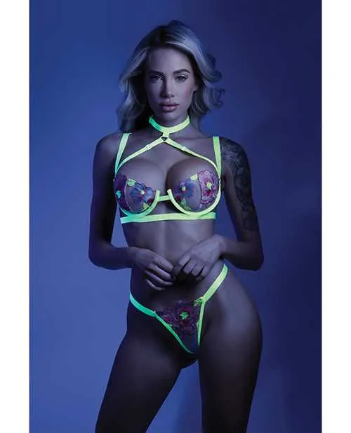 Glow By Fantasy Lingerie Dildos Glow Black Light Embroidered Harness Bra Leg Garterbelt GString Neon Chartreuse SM
