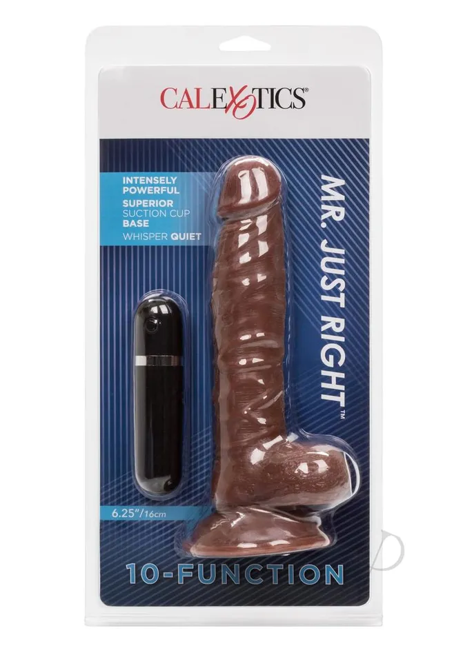 Lifelike Dongs Female Sex Toys Mr Just Right Vibrating Dildo with Bullet 625in Chocolate Lifelike Dongs Female Sex Toys Mr Just Right Vibrating Dildo with Bullet 625in Chocolate