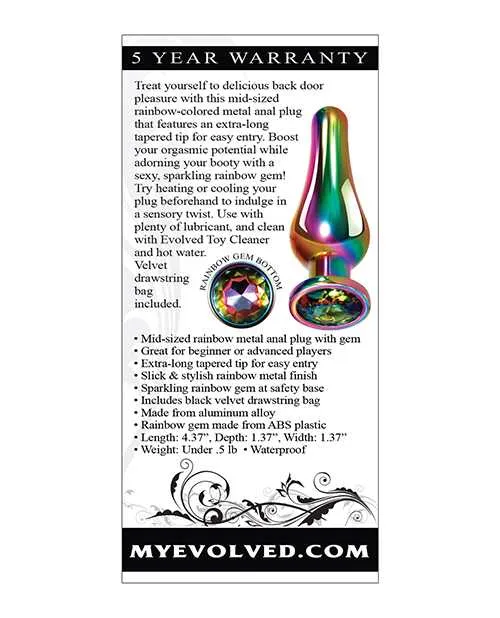 Male Sex Toys Evolved Rainbow Metal Anal Plug Medium