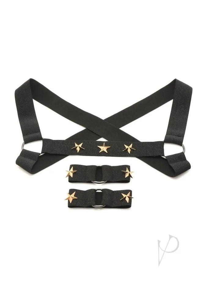 Master Series Rave Harness Elastic Chest Harness with Arm Bands SmallMedium BlackGold Master Series Female Sex Toys