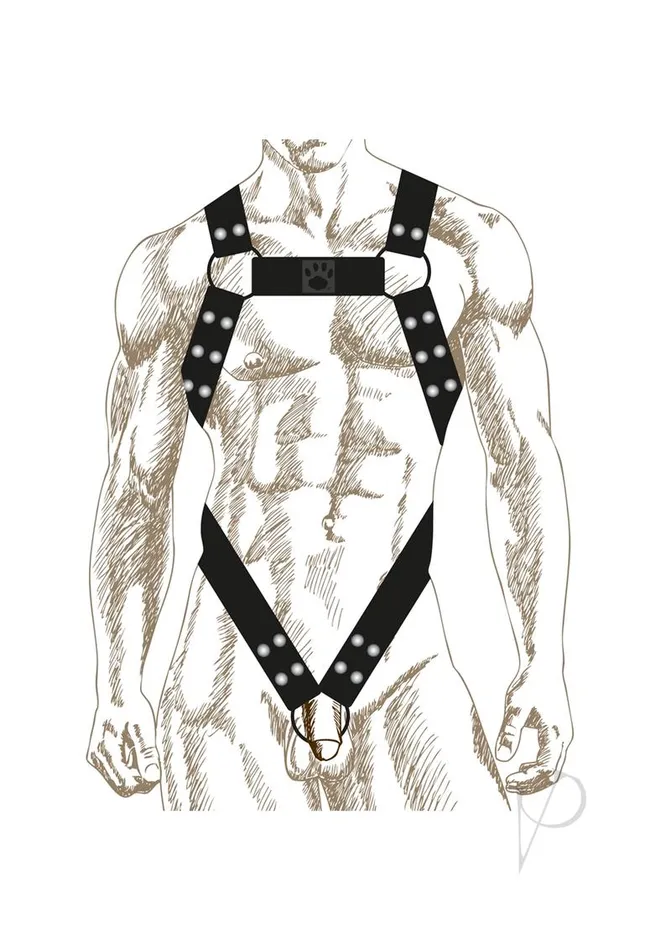Prowler Red Anal Prowler RED Butch Body Harness Small BlackSilver