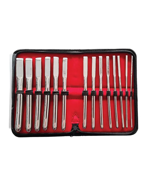 Rouge Anal Rouge Hegar Stainless Steel Uterine Dilator Set 14 Piece Set Silver Rouge Anal Rouge Hegar Stainless Steel Uterine Dilator Set 14 Piece Set Silver