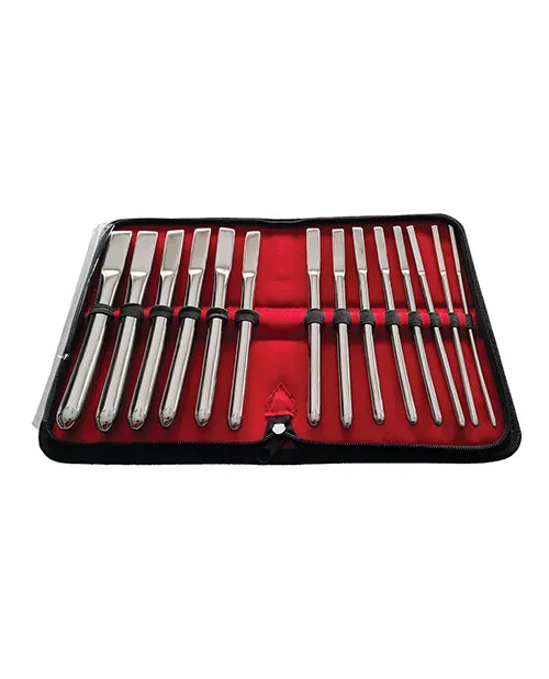 Rouge Anal Rouge Hegar Stainless Steel Uterine Dilator Set 14 Piece Set Silver Rouge Anal Rouge Hegar Stainless Steel Uterine Dilator Set 14 Piece Set Silver