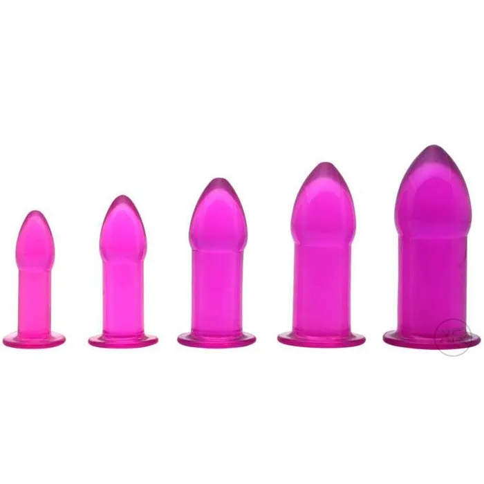 Trinity Vibes Anal Purple 5pc Anal Trainer Kit