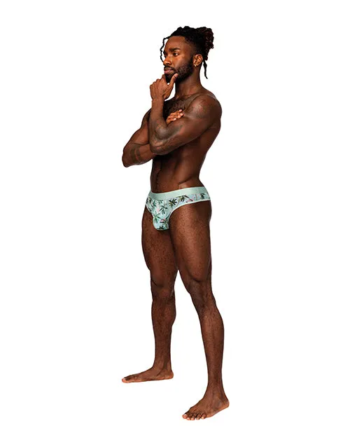 Vibrators Male Power Sheer Prints Mesh Poly Spandex Thong Flamingo SM