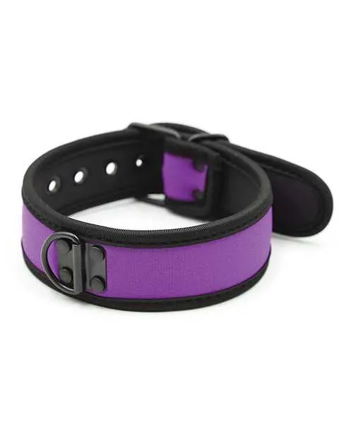Vibrators Plesur Neoprene Puppy Collar Purple Plesur