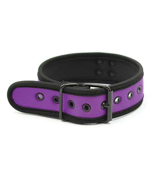 Vibrators Plesur Neoprene Puppy Collar Purple Plesur Vibrators Plesur Neoprene Puppy Collar Purple Plesur