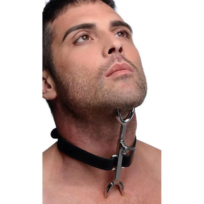 Vibrators Strict Leather Heretics Fork
