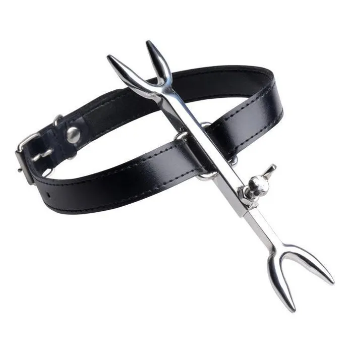 Vibrators Strict Leather Heretics Fork