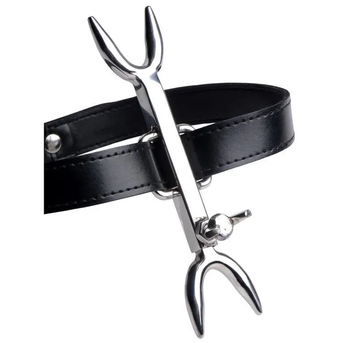Vibrators Strict Leather Heretics Fork