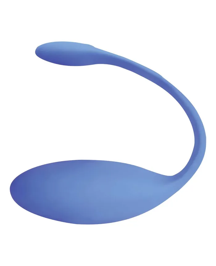 We Vibe Vibrators WeVibe Jive Silicone Rechargeable Remote Control Wearable GSpot Vibrator Blue We Vibe Vibrators WeVibe Jive Silicone Rechargeable Remote Control Wearable GSpot Vibrator Blue