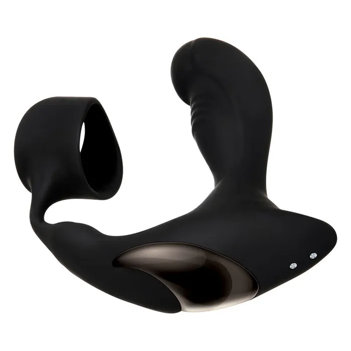 Zero Tolerance Zero Tolerance Heating Anal Plug Cock Ring Male Sex Toys